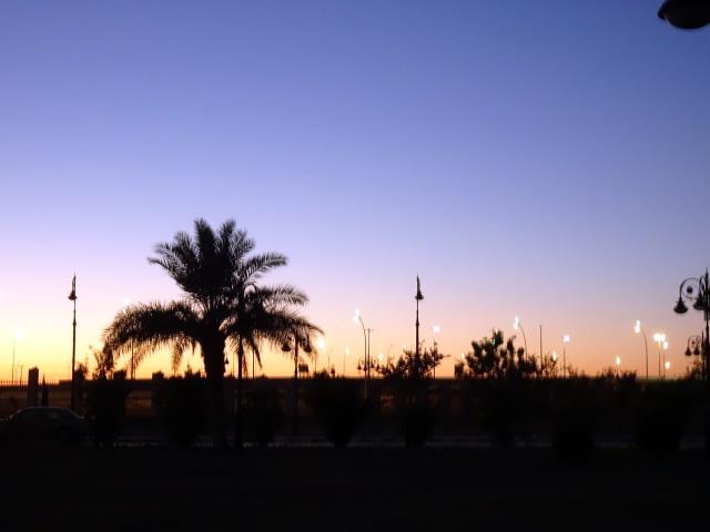 DSC00402