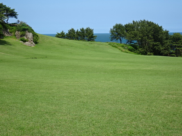 DSC04179