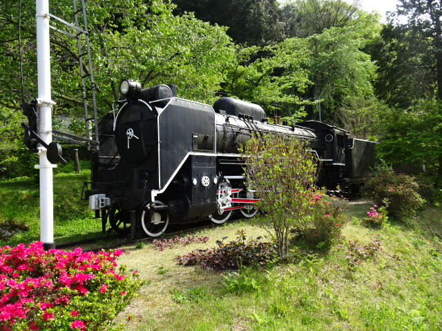 ＳＬ公園のＤ５１