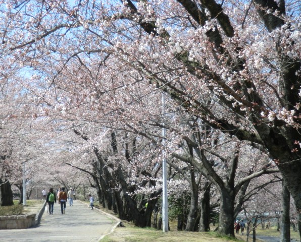 イメージ 4