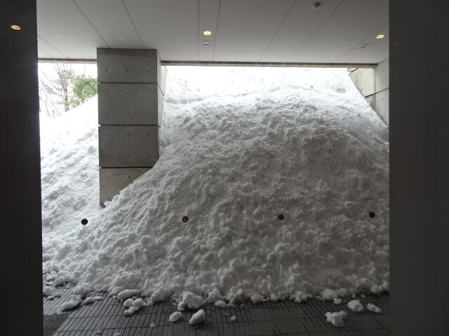 雪に埋もれる