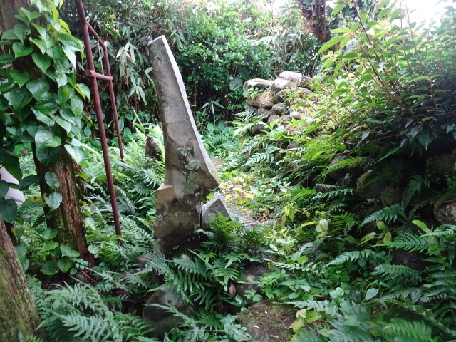 DSC06488