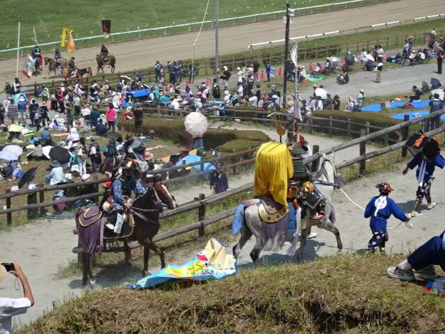 行列を終えた馬は高台に登っていく