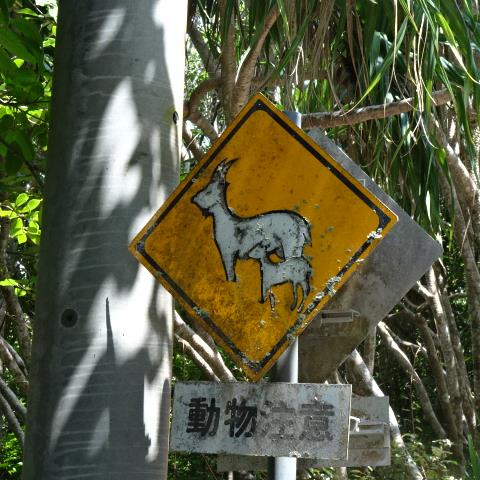 野山羊の看板
