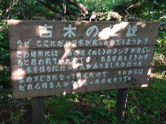 DSC02323