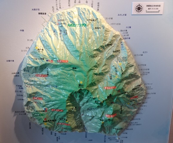 御蔵島は断崖絶壁の島
