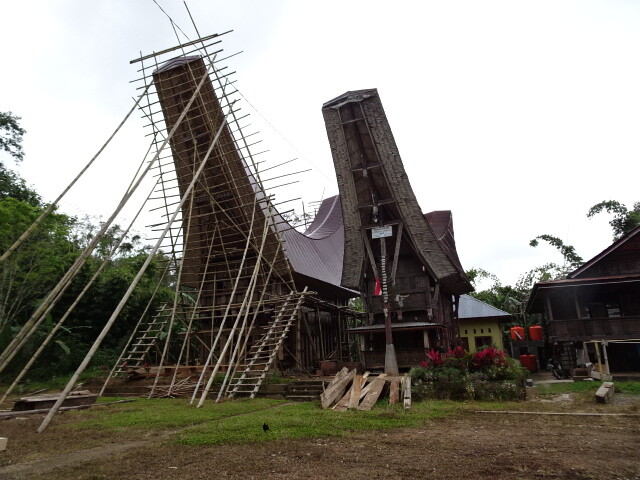 ガイドさんの建築中のトンコナン
