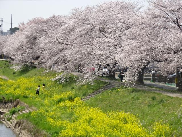 イメージ 10