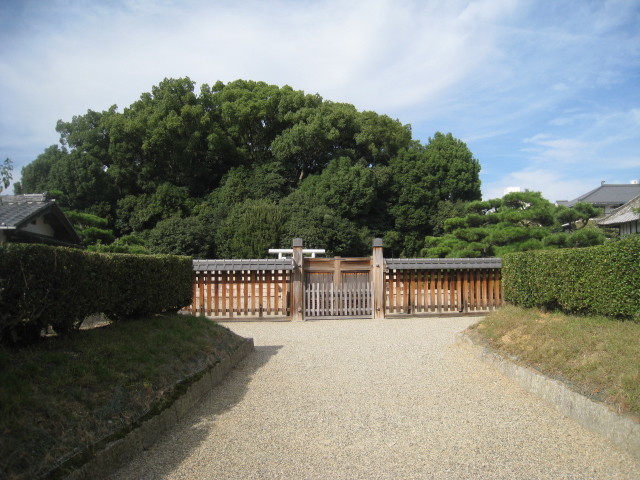 イメージ 11