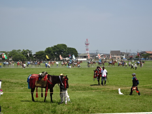 草の上でのんびりと