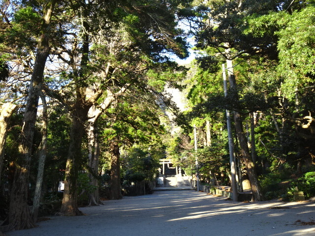 十三神社の参道