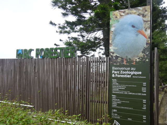 森林公園