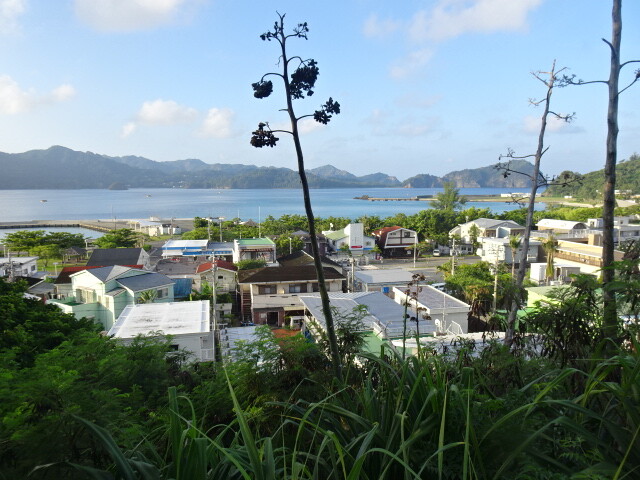 記念碑から