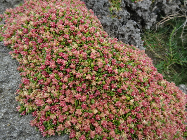 DSC07373
