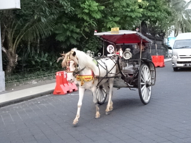 馬車もいた