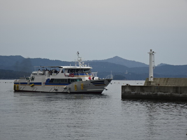 大泊港