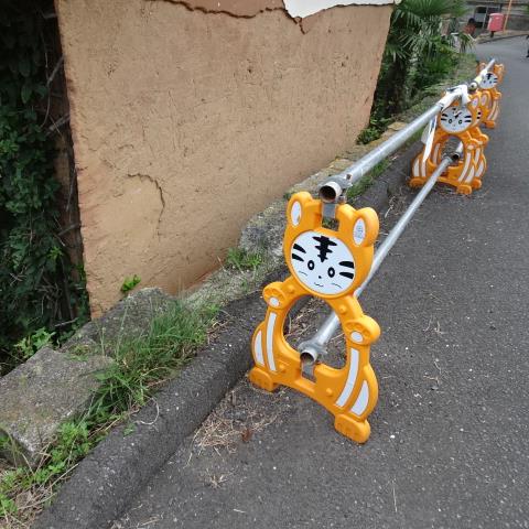 これも猫
