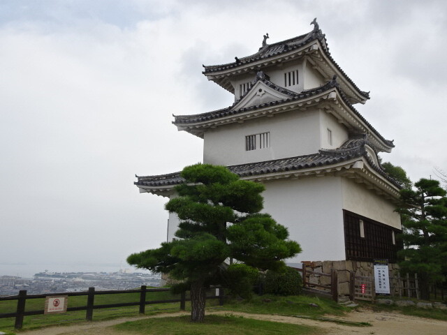 違う角度で