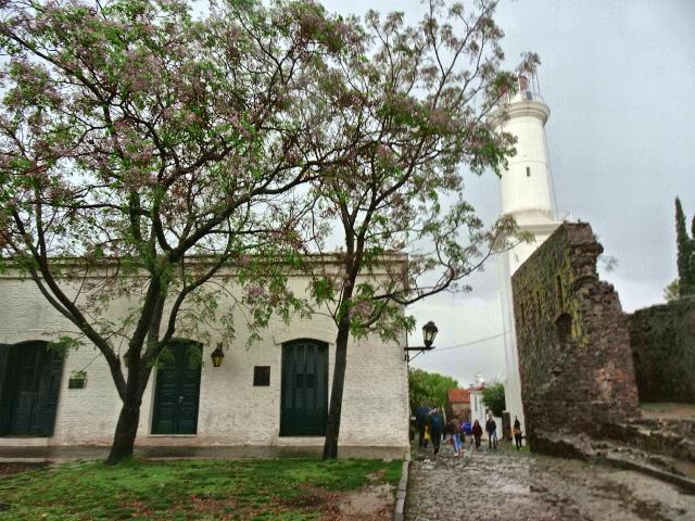 DSC07649