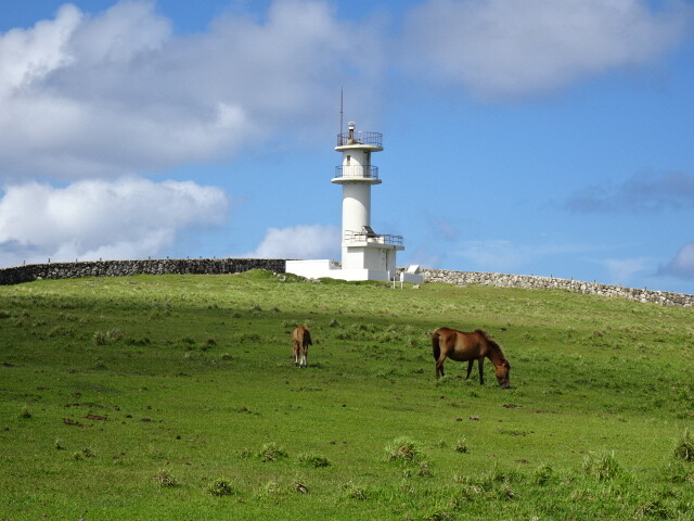 与那国馬と東崎灯台
