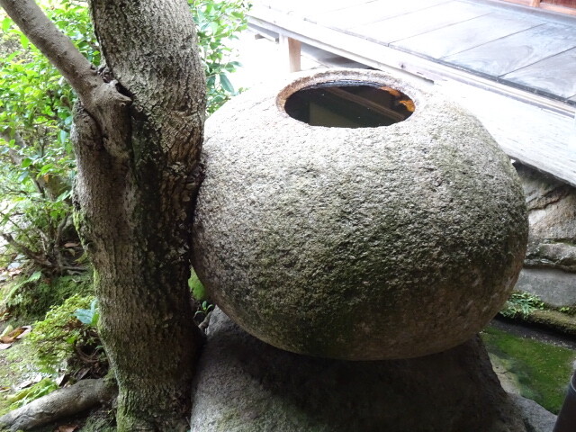 木がくい込んできている