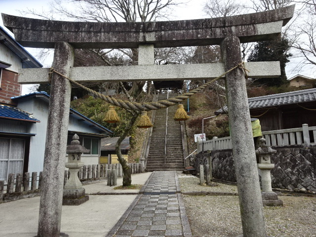 イメージ 7