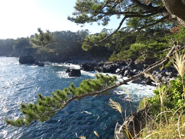 城ヶ崎海岸