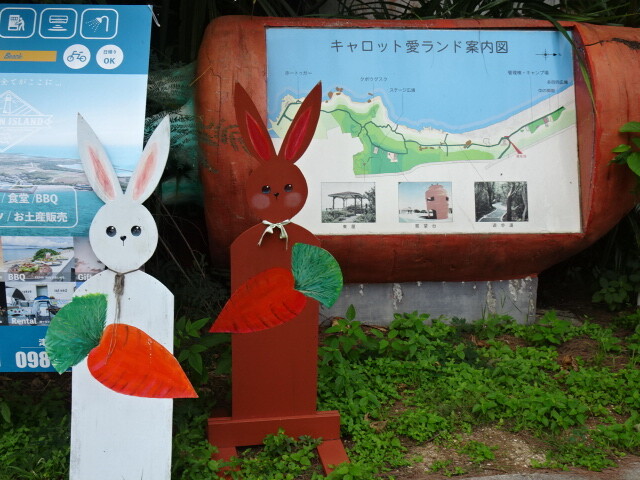人参といえばウサギ (1)
