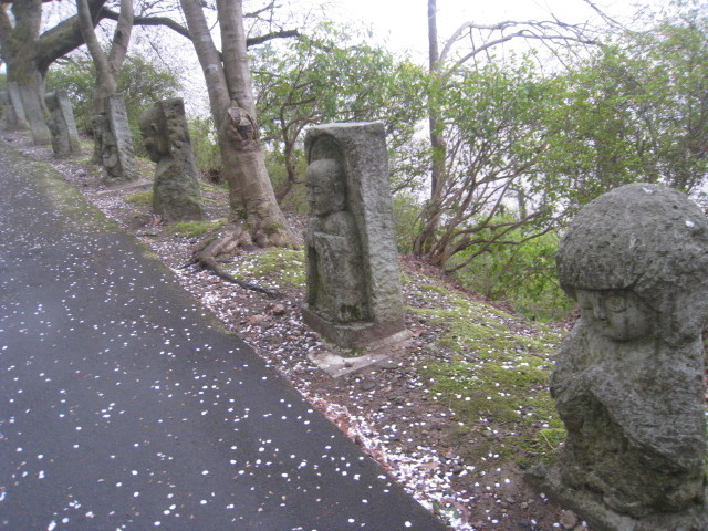 イメージ 6