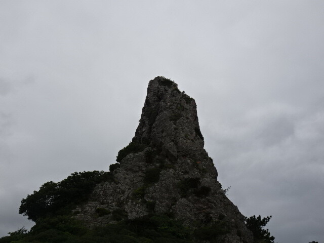 陸ギタラ