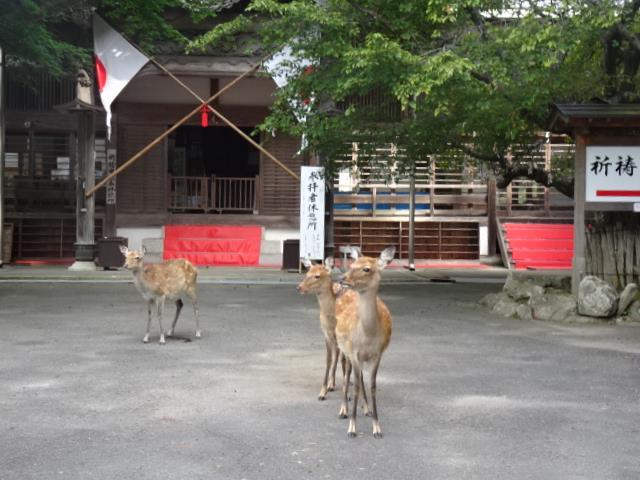 秋分の日でした