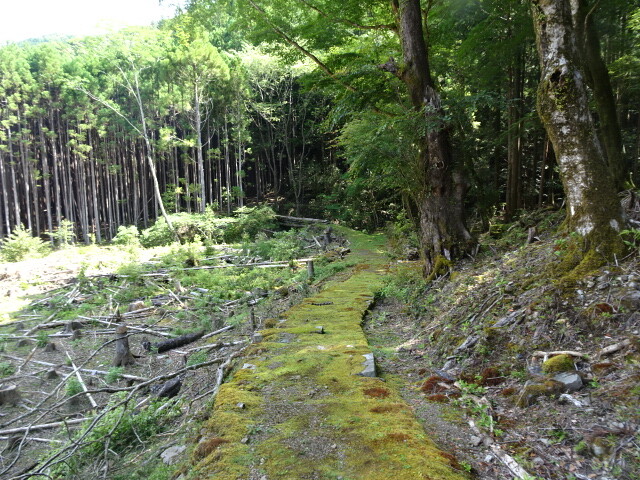 昔の道