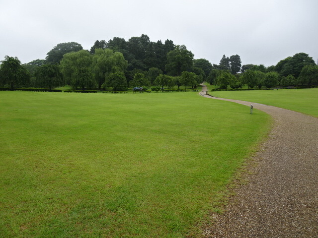 DSC03998