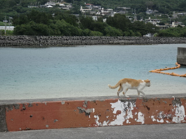 海が似合うね