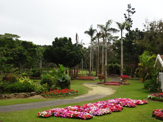 熱帯植物園