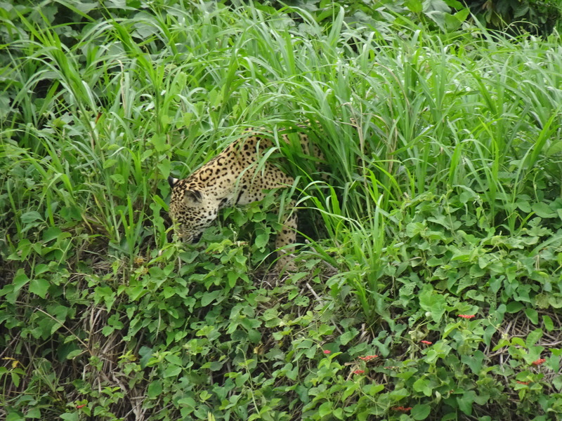活発です (2)