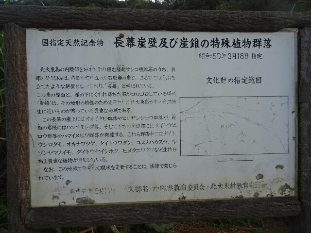 長幕説明