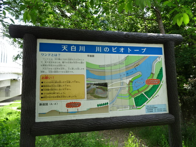 名古屋市天白区を歩いてみました : 好きなもの・・・猫と旅と・・・