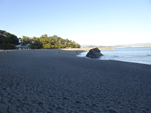 桂浜
