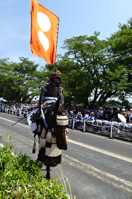 その辺の草を食べる馬