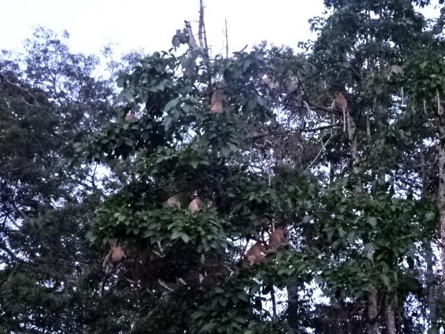 DSC06032
