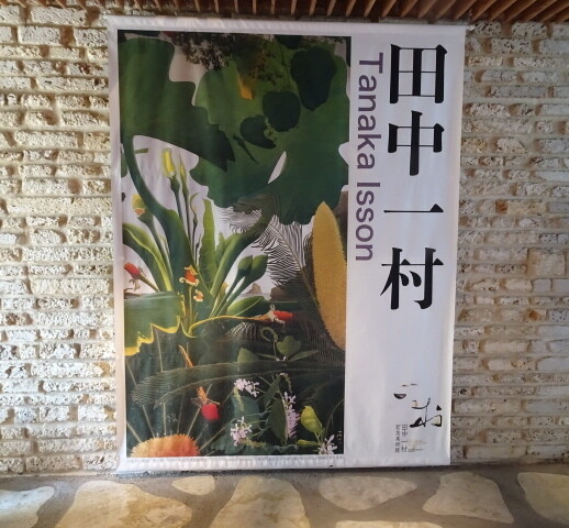 常設展