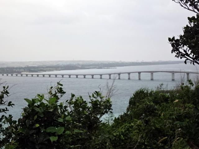 DSC01875