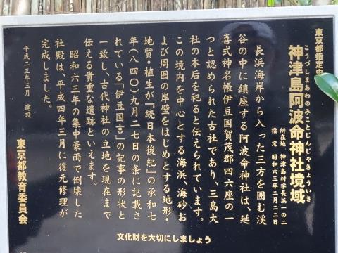 DSC05852