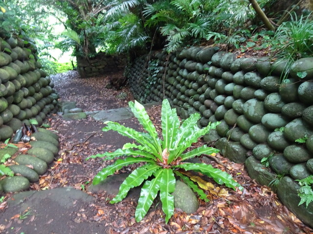 DSC06458