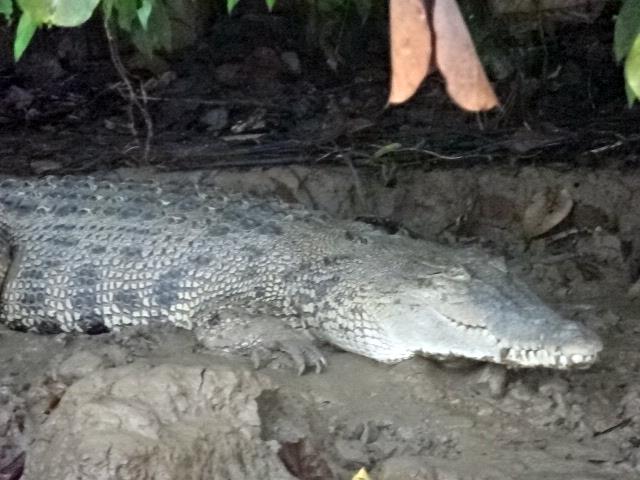 目をつぶっている