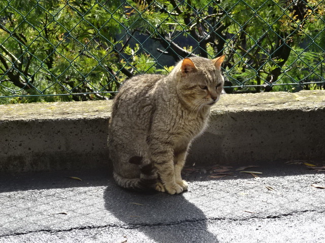 イメージ 9