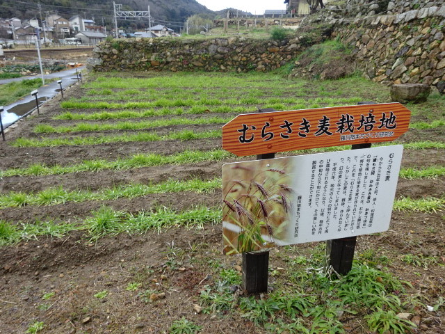 イメージ 19
