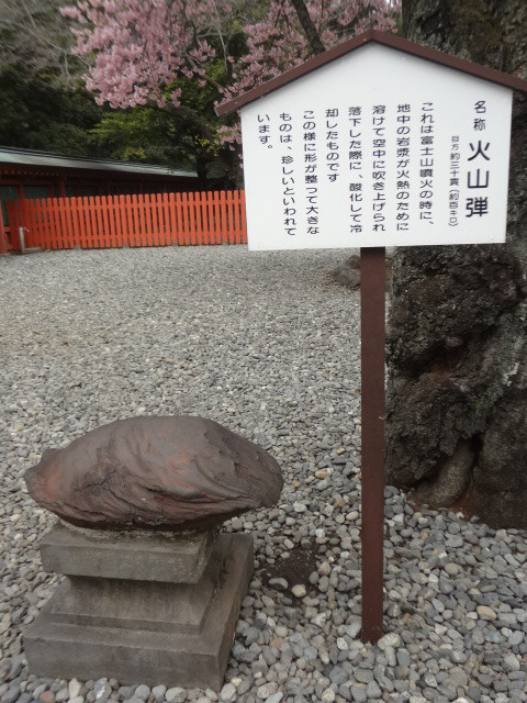 イメージ 10