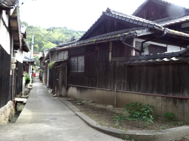 島の通り